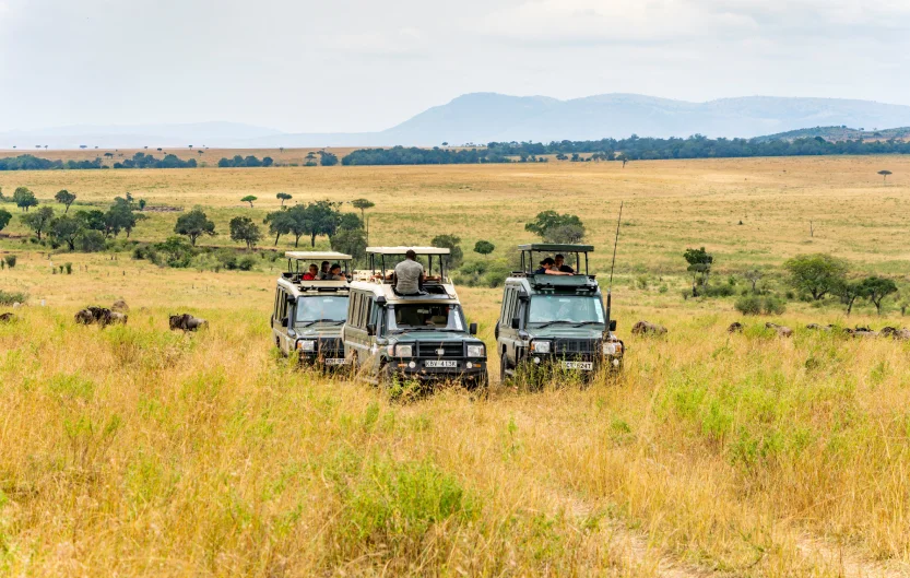 Tanzania Safari Cost
