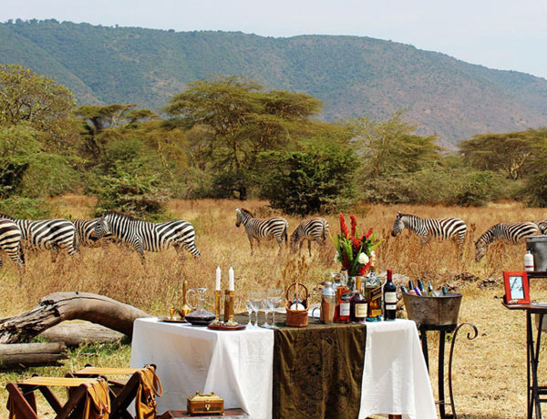 Luxury Safari
