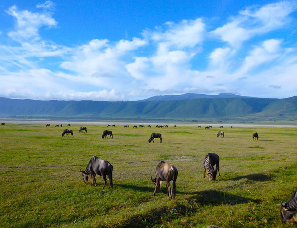 Ngorongoro Crater