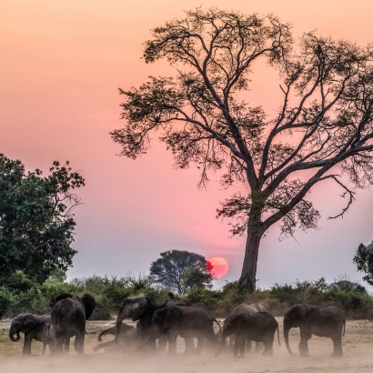 ZIMBABWE