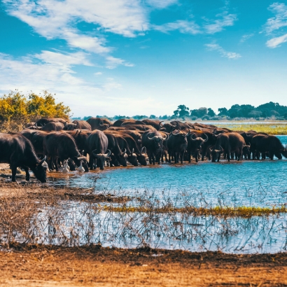 BOTSWANA