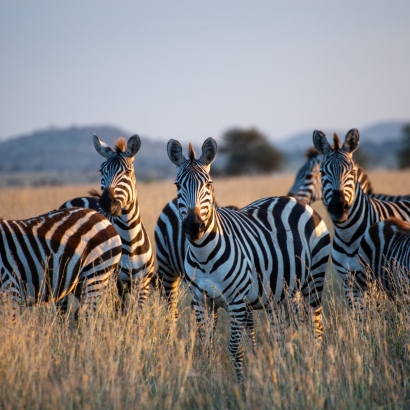 TANZANIA