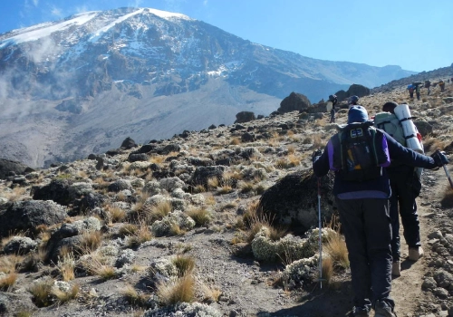 Kilimanjaro