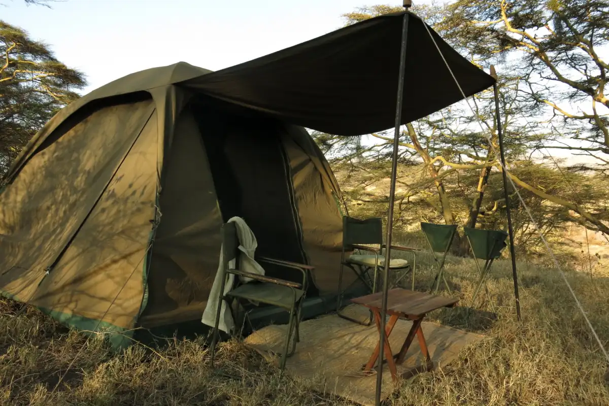 2-days-tanzania-camping-safari3 2-days-tanzania-camping-safari3