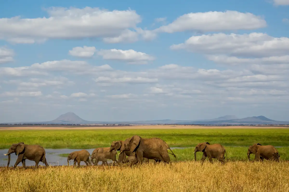 2-days-tanzania-midrange-lodge-safari2 2-days-tanzania-midrange-lodge-safari2