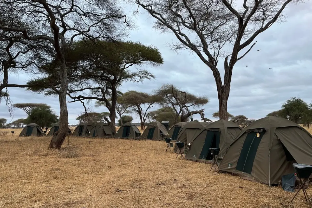 3-days-camping-safari1 3-days-camping-safari1