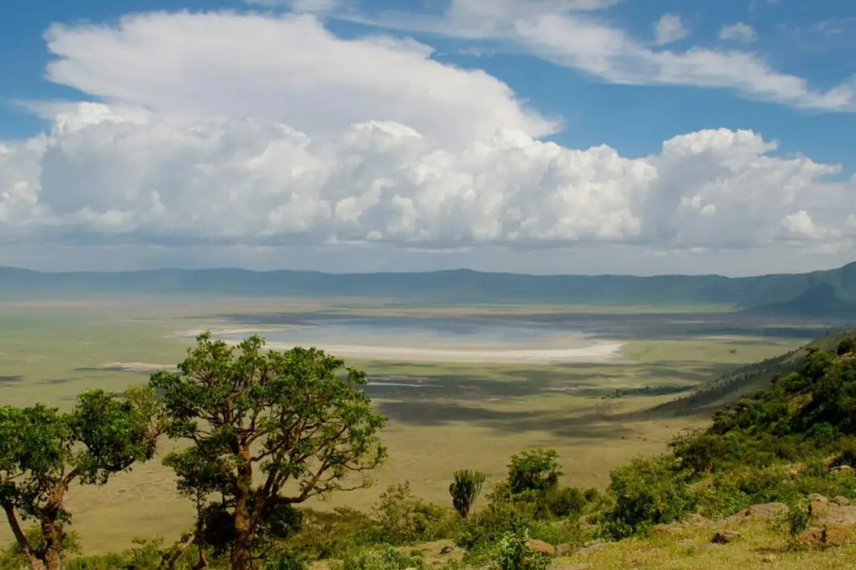 3-days-lodge-safari-going-to-tarangire-lake-manyara-and-ngorongoro-crater3 3-days-lodge-safari-going-to-tarangire-lake-manyara-and-ngorongoro-crater3