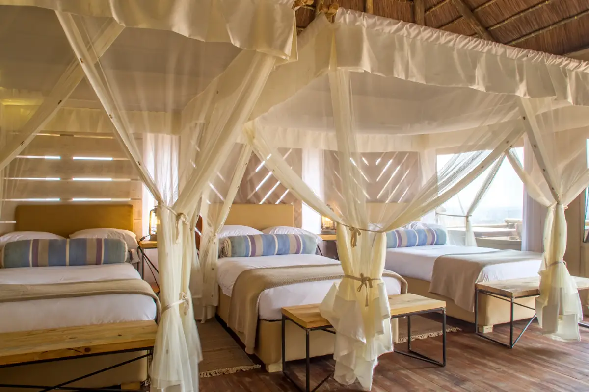 3-days-luxury-lodge-safari-going-to-serengeti-national-park2 3-days-luxury-lodge-safari-going-to-serengeti-national-park2