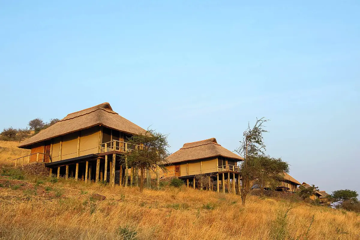 3-days-luxury-lodge-safari-going-to-serengeti-national-park3 3-days-luxury-lodge-safari-going-to-serengeti-national-park3