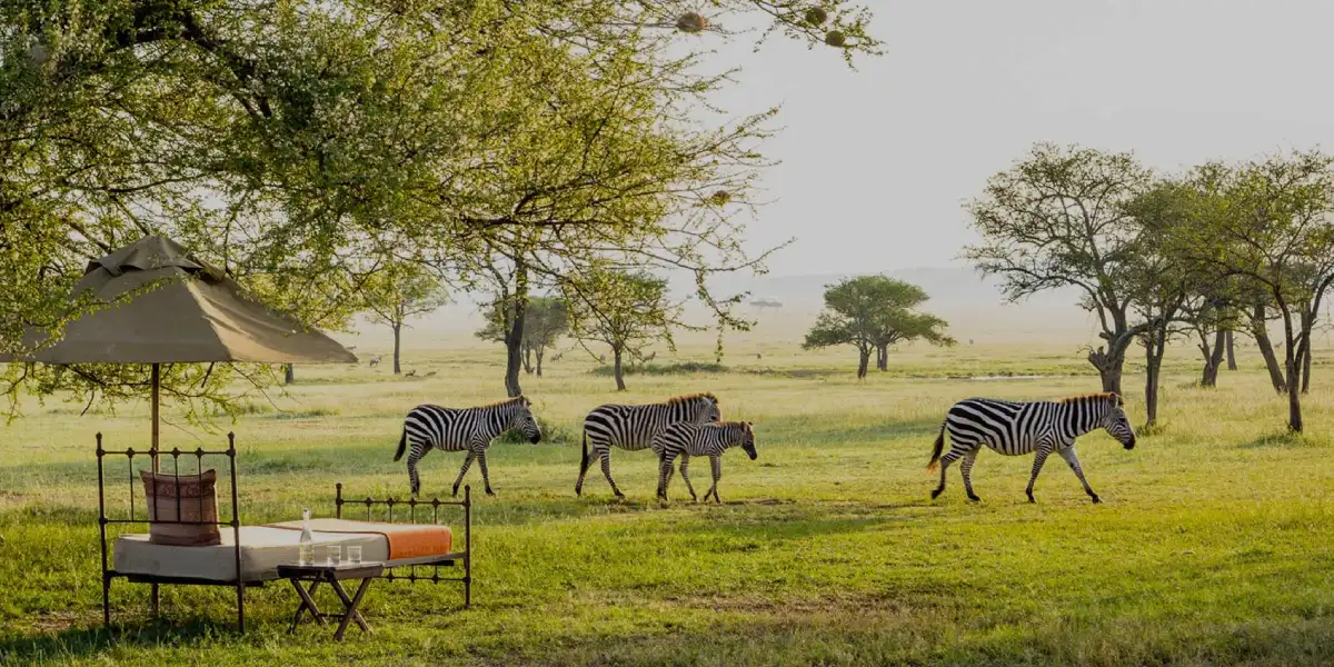 4-days-luxury-lodge-safari-going-to-tarangire-serengeti-national-park-and-ngorongoro2 4-days-luxury-lodge-safari-going-to-tarangire-serengeti-national-park-and-ngorongoro2