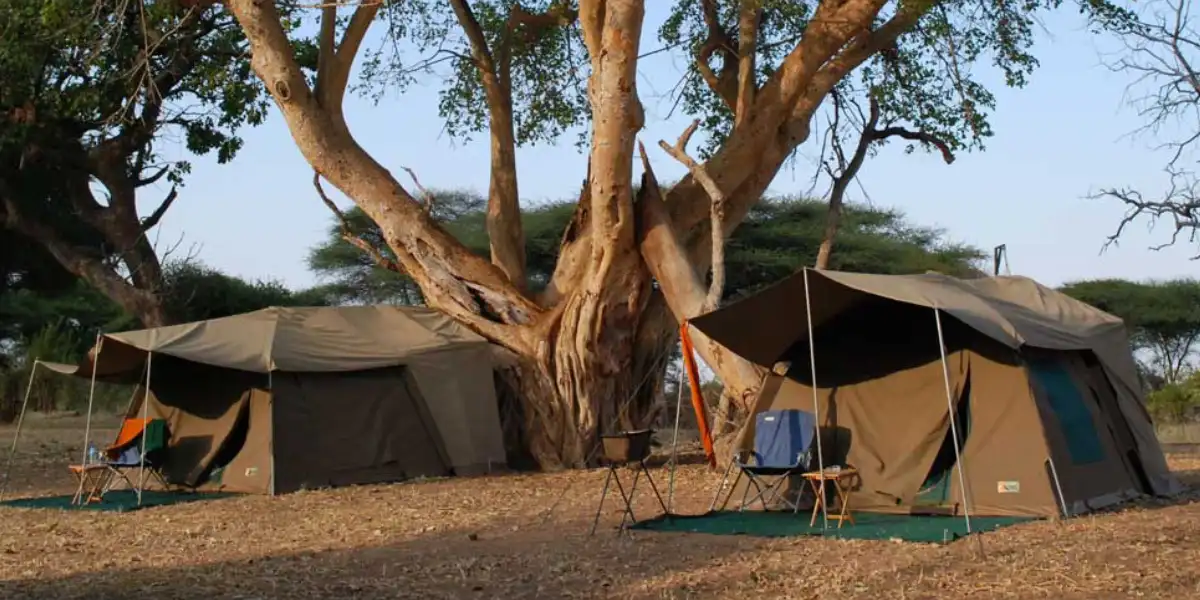 5-days-camping-safari-going-to-tarangire-serengeti-national-park-and-ngorongoro1 5-days-camping-safari-going-to-tarangire-serengeti-national-park-and-ngorongoro1