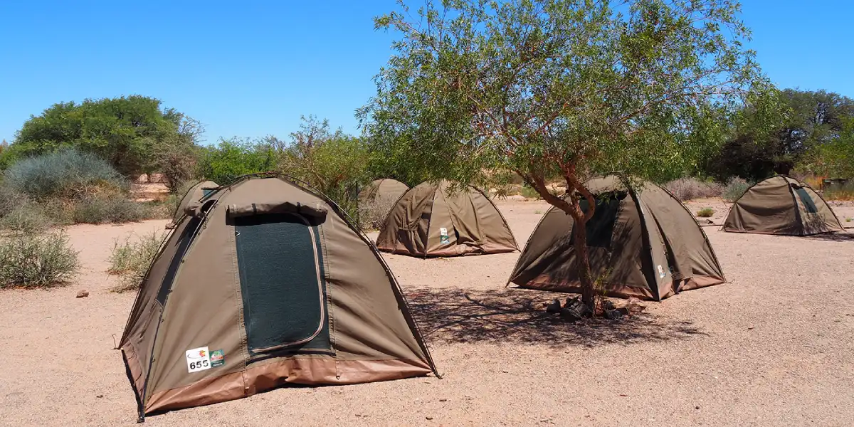 5-days-camping-safari-going-to-tarangire-serengeti-national-park-and-ngorongoro2 5-days-camping-safari-going-to-tarangire-serengeti-national-park-and-ngorongoro2