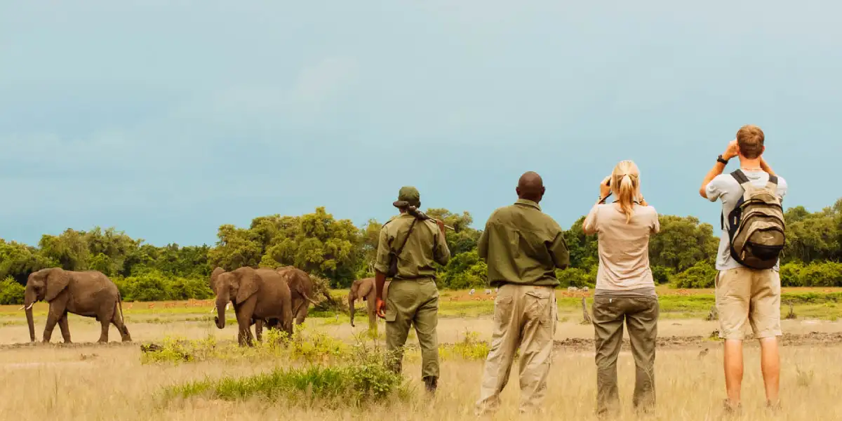 5-days-luxury-lodge-safari-going-to-tarangire-serengeti-national-park-and-ngorongoro2 5-days-luxury-lodge-safari-going-to-tarangire-serengeti-national-park-and-ngorongoro2