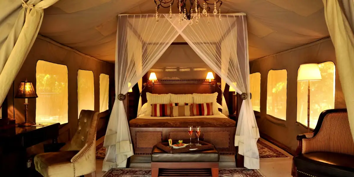 5-days-luxury-lodge-safari-going-to-tarangire-serengeti-national-park-and-ngorongoro5 5-days-luxury-lodge-safari-going-to-tarangire-serengeti-national-park-and-ngorongoro5