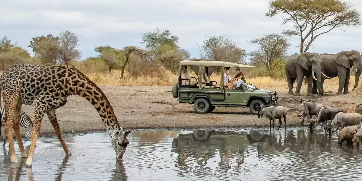 6-days-luxury-lodge-safari3 6-days-luxury-lodge-safari3