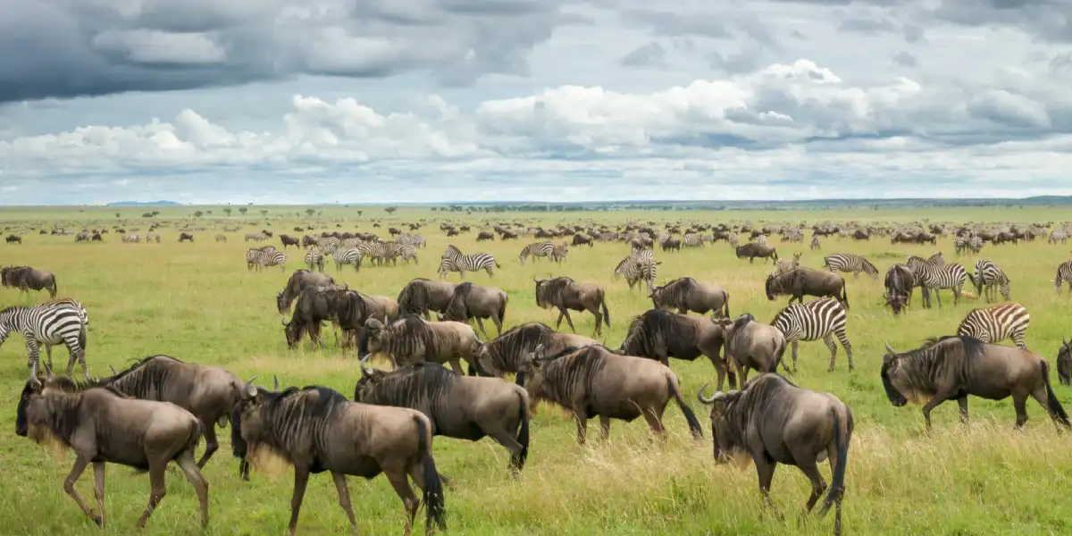 6-days-luxury-lodge-safari5 6-days-luxury-lodge-safari5