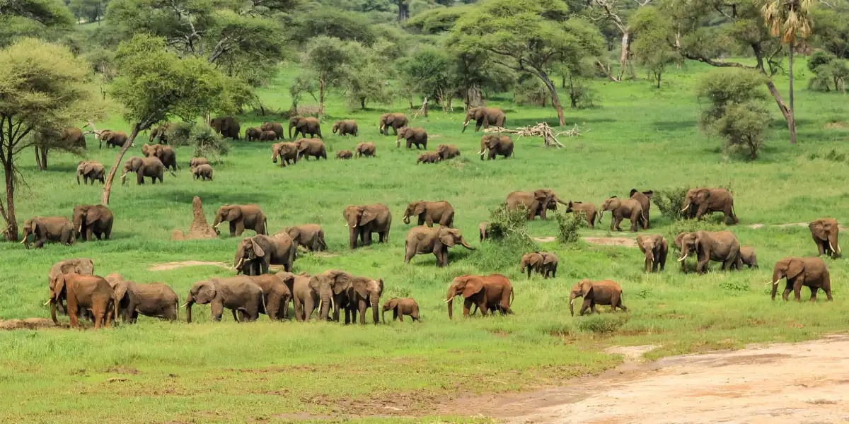 6-days-luxury-lodge-safari6 6-days-luxury-lodge-safari6