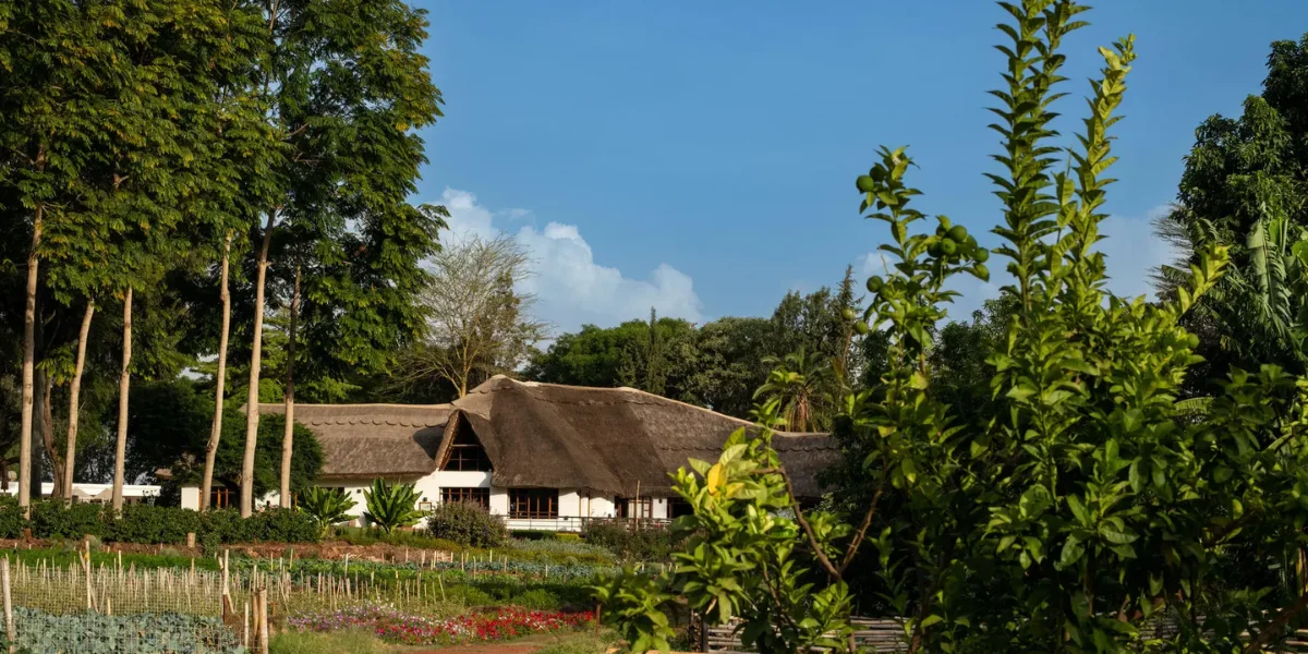 6-days-midrange-lodge-safari-going-to-lake-manyara-serengeti-national-park-and-ngorongoro-crater-and-tarangire-national-par5 6-days-midrange-lodge-safari-going-to-lake-manyara-serengeti-national-park-and-ngorongoro-crater-and-tarangire-national-par5