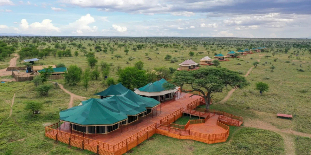 7-days-camping-safari-going-to-lake-manyara-serengeti-national-park-ngorongoro-crater-lake-eyasi-and-tarangire-national-park4 7-days-camping-safari-going-to-lake-manyara-serengeti-national-park-ngorongoro-crater-lake-eyasi-and-tarangire-national-park4
