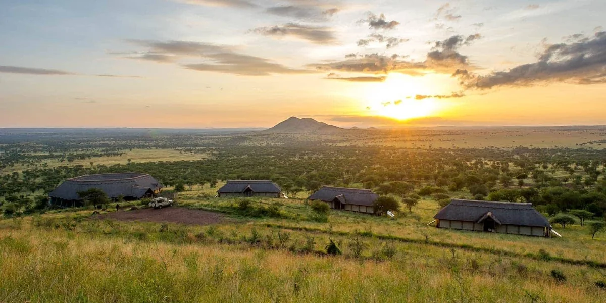 7-days-luxury-lodge-safari-going-to-lake-manyara-serengeti-national-park-ngorongoro-crater-lake-eyasi-and-tarangire-national-park2 7-days-luxury-lodge-safari-going-to-lake-manyara-serengeti-national-park-ngorongoro-crater-lake-eyasi-and-tarangire-national-park2