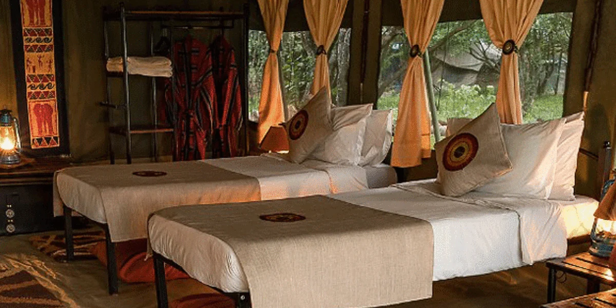 10-days-masai-mara-and-gorillas3