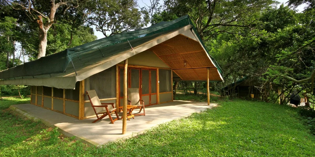11-days-uganda-primate-safari5 11-days-uganda-primate-safari5
