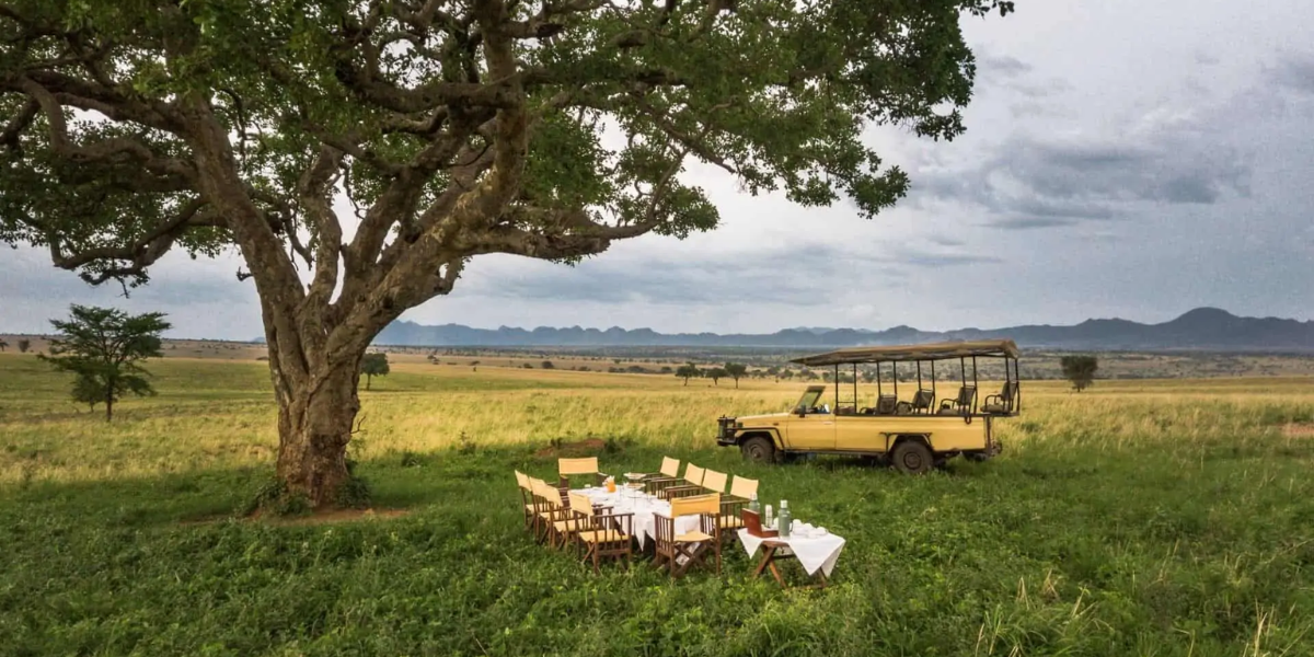 11-days-uganda-primate-safari9 11-days-uganda-primate-safari9