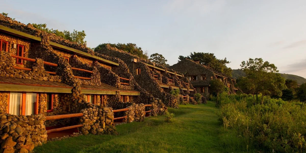 12-days-kenya-tanzania-wildlife-safari10 12-days-kenya-tanzania-wildlife-safari10