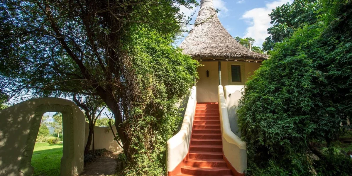 12-days-kenya-tanzania-wildlife-safari11 12-days-kenya-tanzania-wildlife-safari11