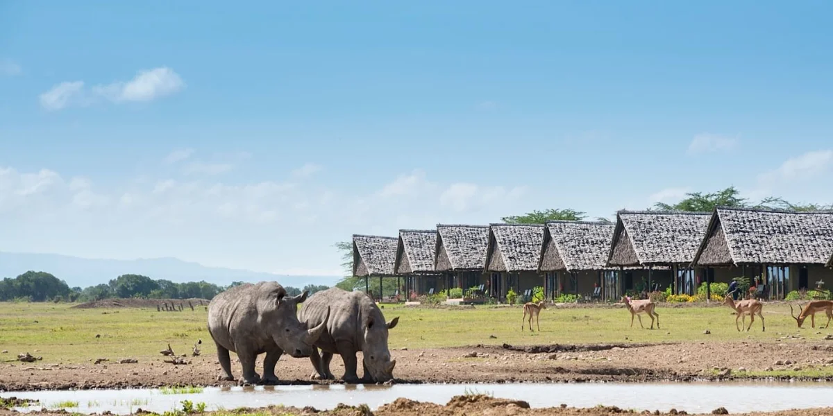 12-days-kenya-tanzania-wildlife-safari3 12-days-kenya-tanzania-wildlife-safari3