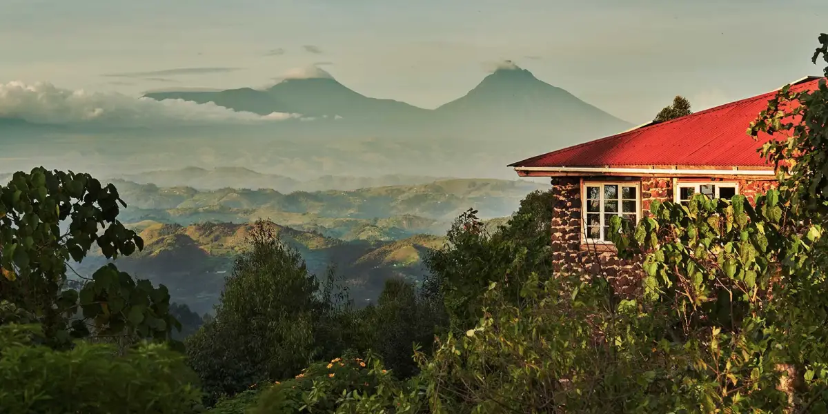 5-days-gorilla-safari-by-road3