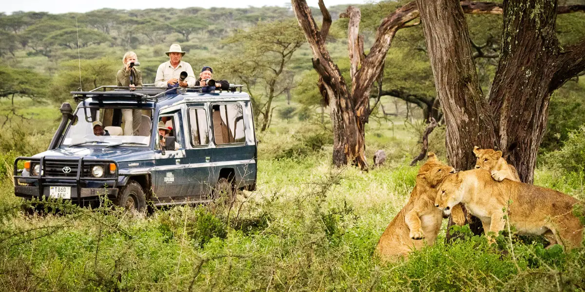 5-days-gorilla-safari-by-road5