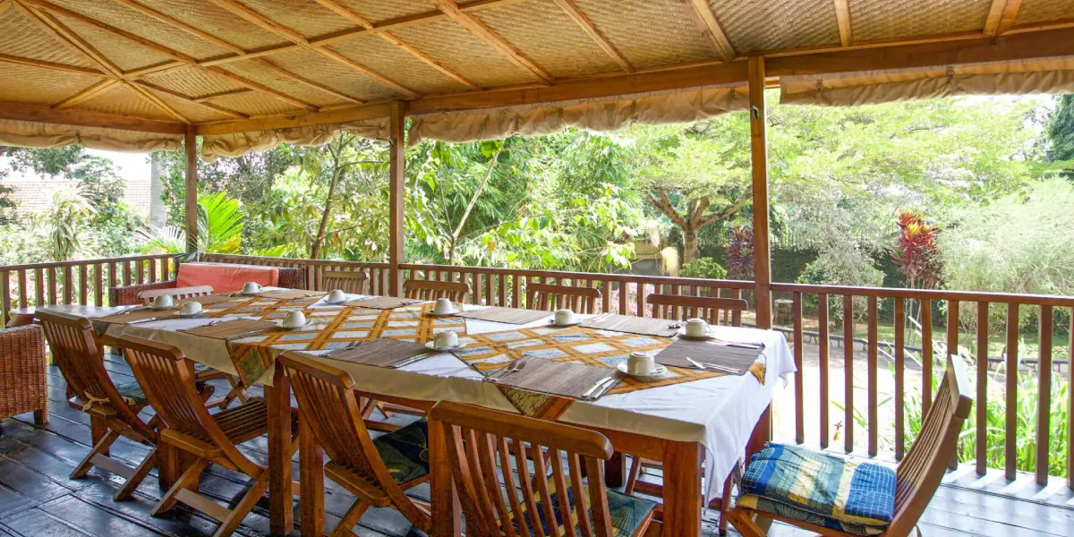 6-days-gorillas-walking-safari1 6-days-gorillas-walking-safari1