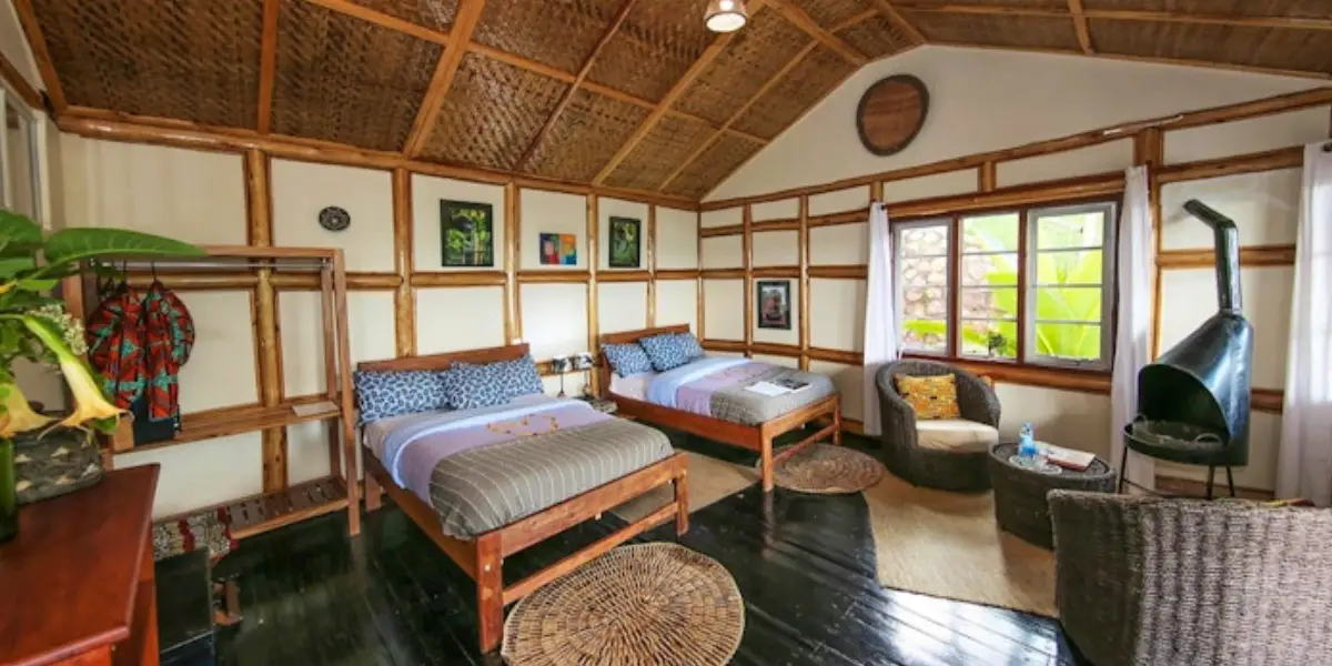 6-days-gorillas-walking-safari3 6-days-gorillas-walking-safari3