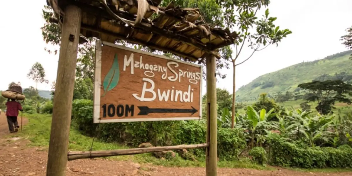 6-days-gorillas-walking-safari5 6-days-gorillas-walking-safari5