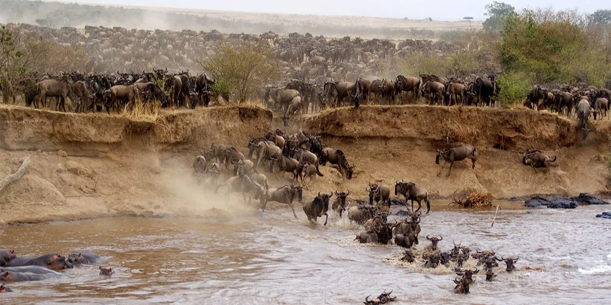 7-Days-Luxury-Kenya-Wildlife-Safari6