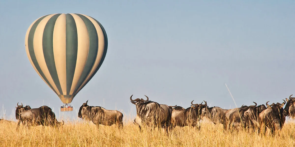 7-days-amboseli-and-mara-highlights6