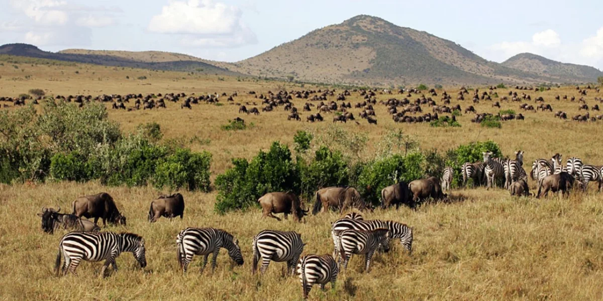 7-days-remote-wildlife-safari5 7-days-remote-wildlife-safari5