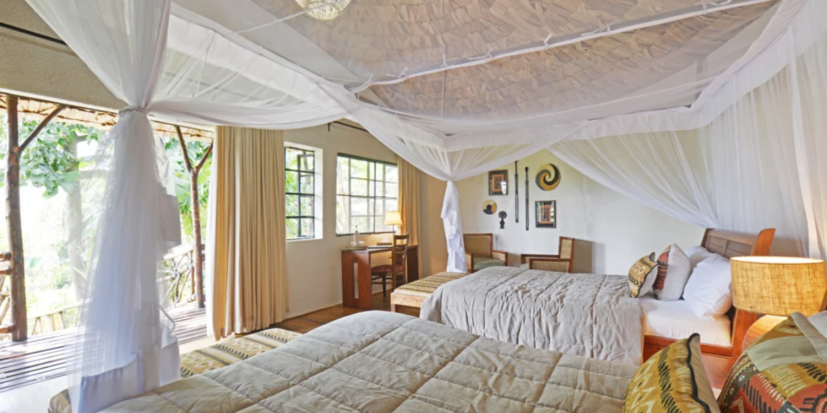 7-days-uganda-classic-gorilla-safari5