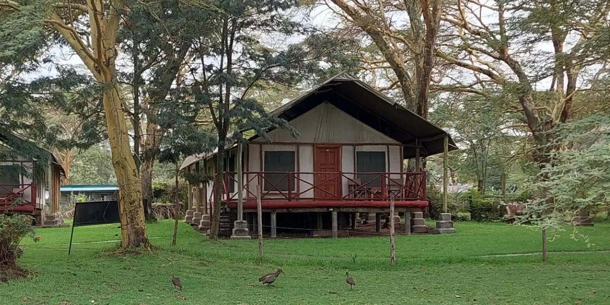 8 Days Simba Adventure Safari4 8 Days Simba Adventure Safari4