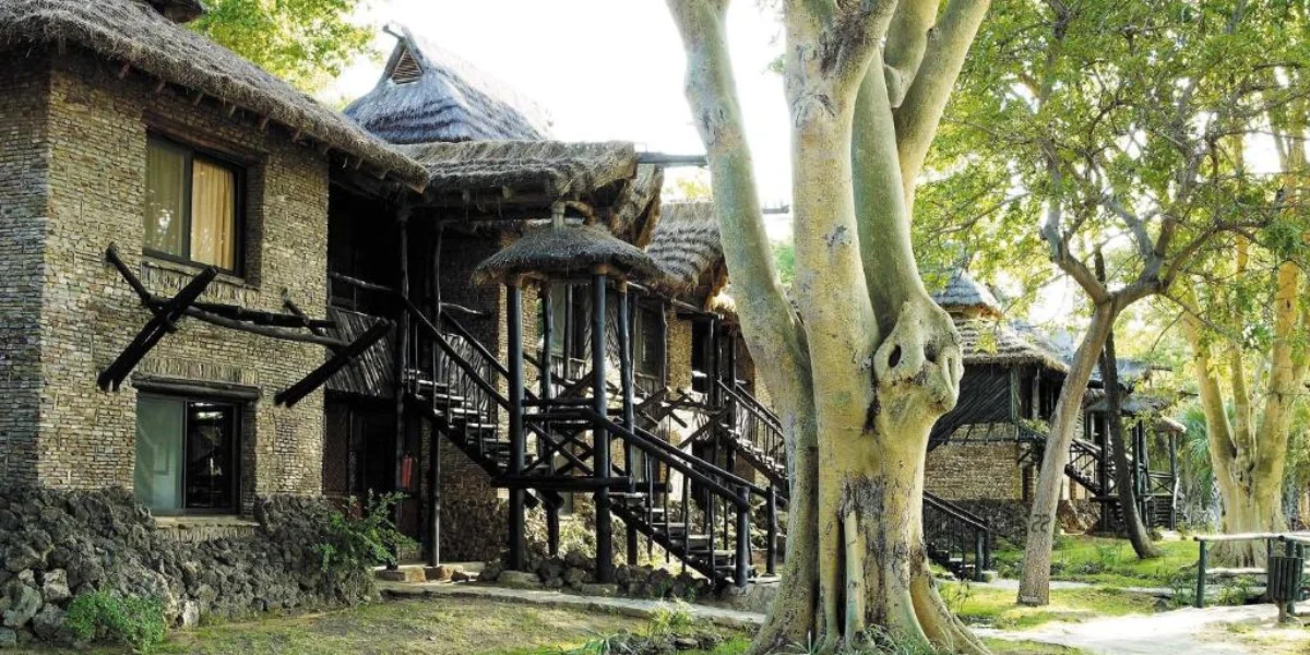 9-days-kenya-best-of-the-special-five-safari2