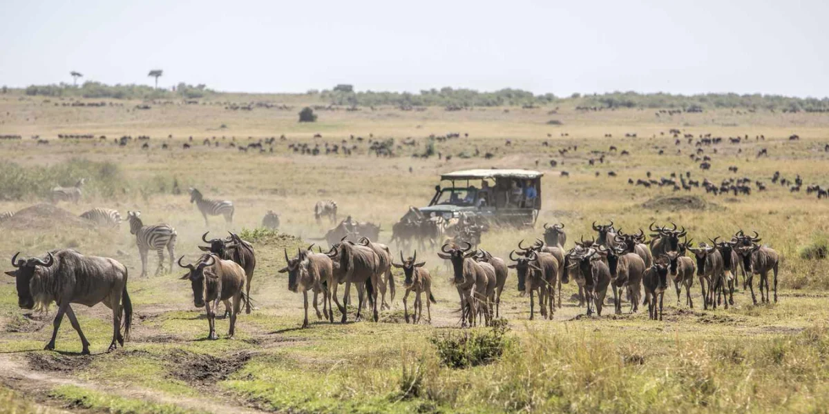 9-days-kenya-best-of-the-special-five-safari7
