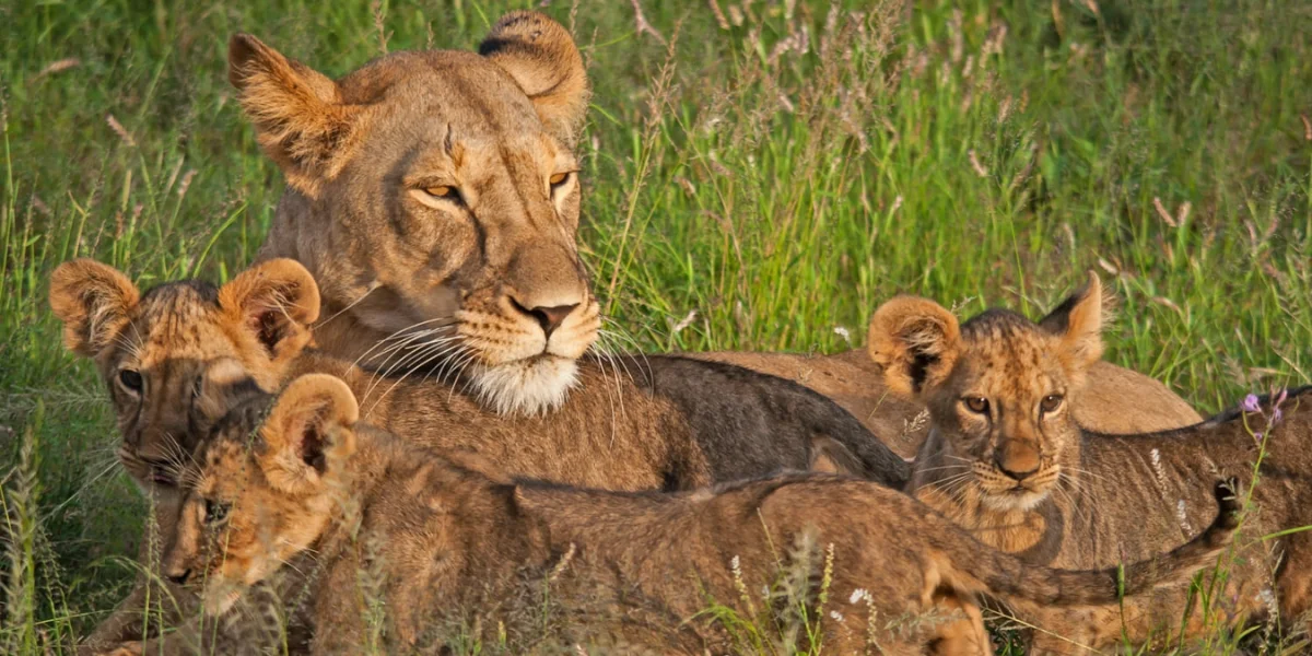 9-days-kenyan-enclave-expedition5 9-days-kenyan-enclave-expedition5