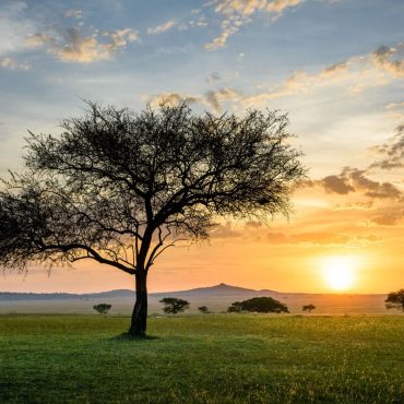 Singita-Sabora-view