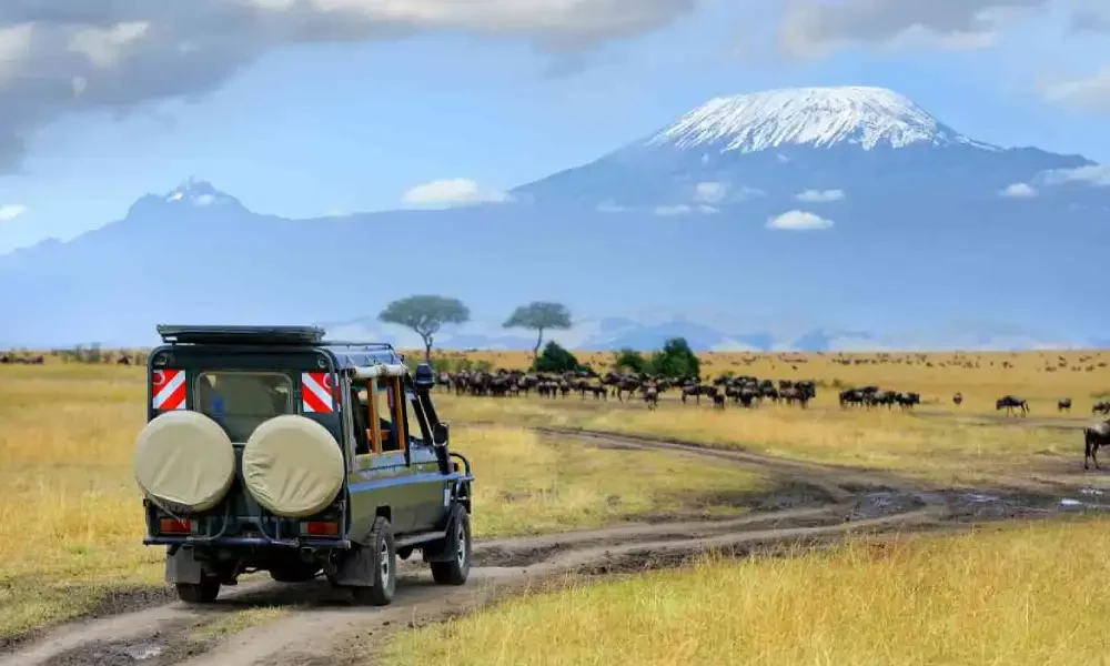 amboseli-national-park-4 amboseli-national-park-4