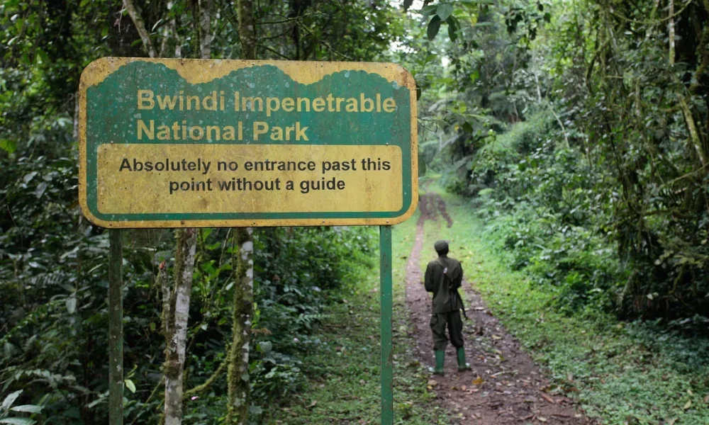 bwindi-impenetrable-national-park2 bwindi-impenetrable-national-park2
