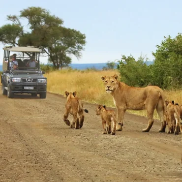 getting-to-kenya