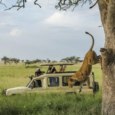 getting-to-tanzania