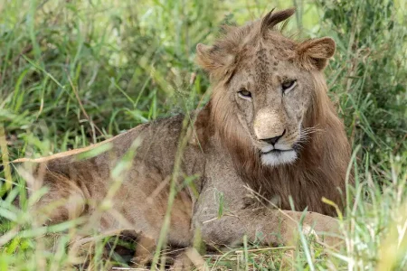 kidepo-valley-park-4