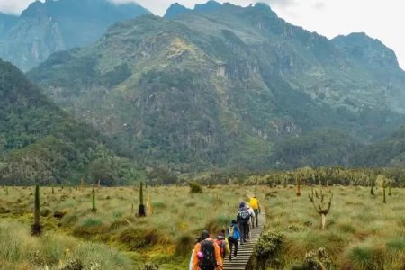 mount-rwenzori